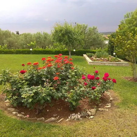Traditional Estate Heated Pool & Garden, 5 Bedrooms Дом отдыха *